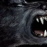 loboleo