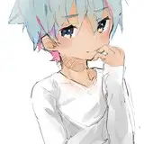 shinsoneko