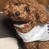 をわふ