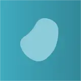 量子态红茶