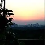 Ankur_93