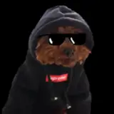 XCobraModding