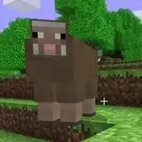 Ethan