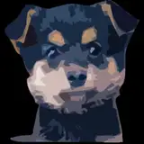 pop_doggy