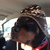 AuthorAdrienneWilder