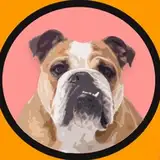mrkuchi