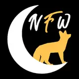 NIGHT FOX Works