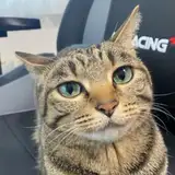delightss