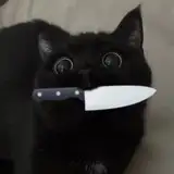 ラ