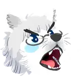 Furufoo