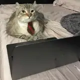 Beastygames