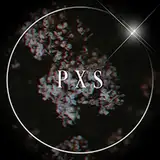 pirumxsim