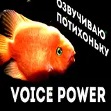 VoicePower