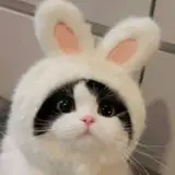 goorm_asmr