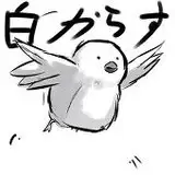 s.k