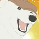 Shirokuma Aizawa