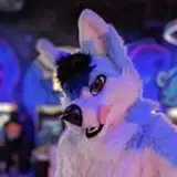 Cloud Husky