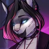 Shyzuki's Assets