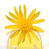 マキス
