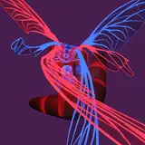Disjointedkey