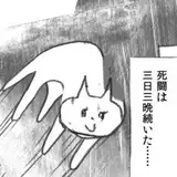 プリチャ・レンピッカ