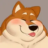 Shibadoodles
