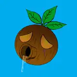 ハチ禄式