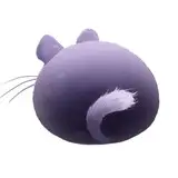 chinchilla_cave