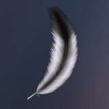 FeatherFeel