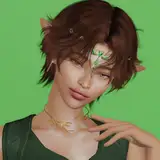 vmsims
