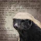Allbadbadgers Emporium