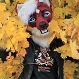 Narusewolf