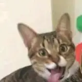 达ling丶