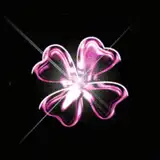 clover